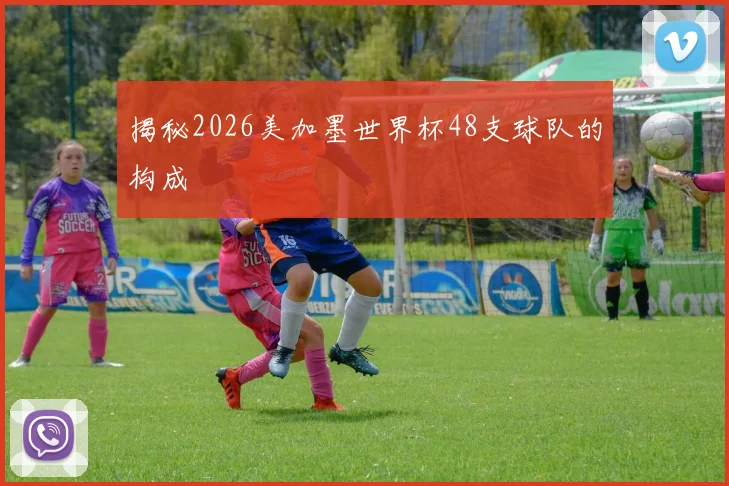 揭秘2026美加墨世界杯48支球队的构成