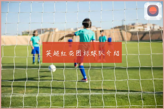 英超红花图标球队介绍