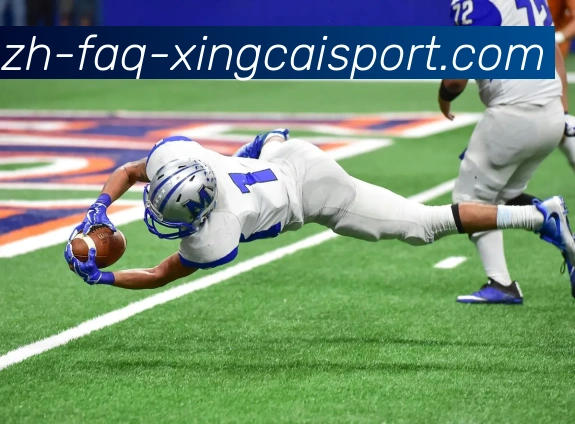 杏彩体育服务体系